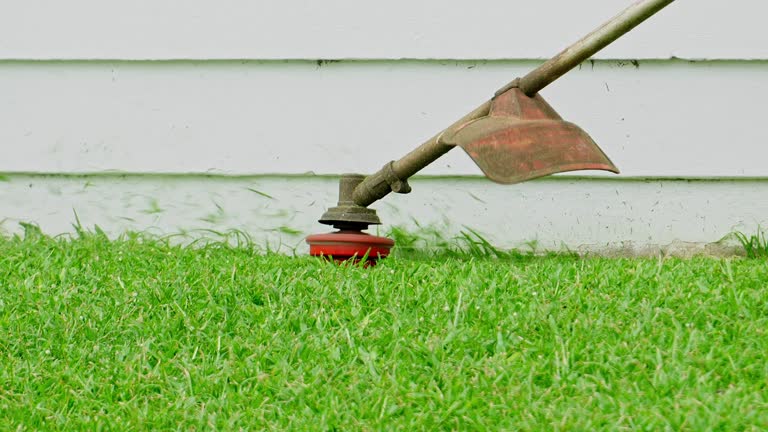 Best Lawn Watering Services  in North Springfield, VA