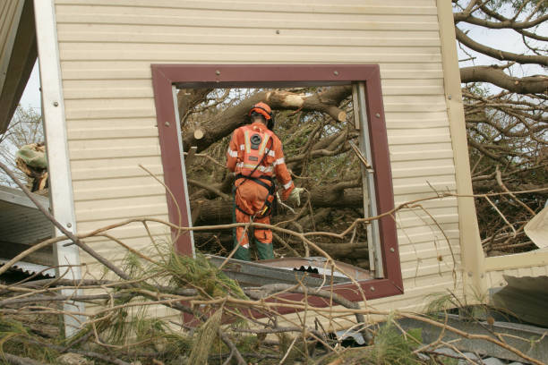 Best Emergency Tree Removal  in North Springfield, VA